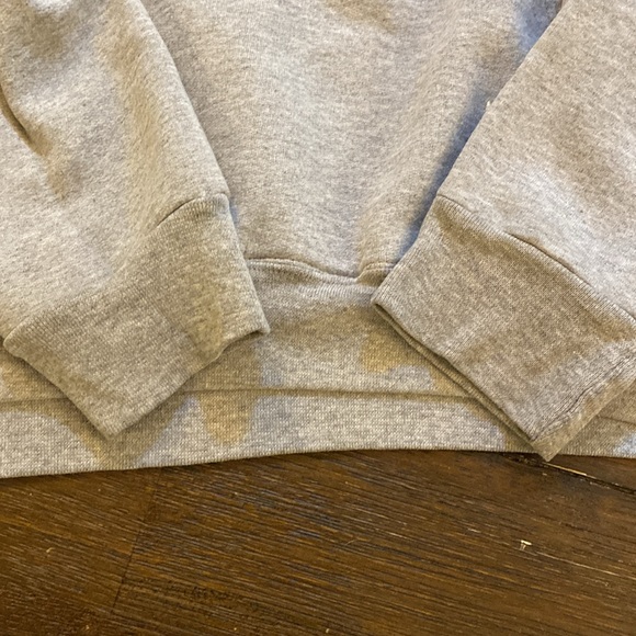 Champion Northeastern University gray hoodie - Picture 2 of 4